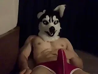 Hard Gay XXX Videos 11